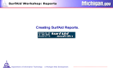 Creating SurfAid Reports. SurfAid Workshop: Reports