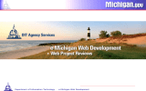 Department of Information Technology e-Michigan Web Development