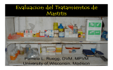 Evaluacion del Tratamientos de Mastitis Pamela L. Ruegg, DVM, MPVM