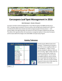 Cercospora Leaf Spot Management in 2016