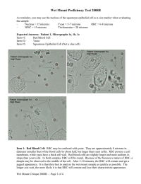 Wet Mount Proficiency Test 2008B