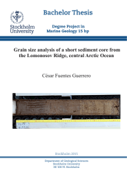Bachelor Thesis Grain size analysis of a short sediment core from