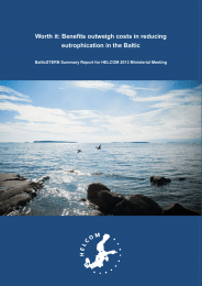 Worth it: Benefits outweigh costs in reducing eutrophication in the Baltic