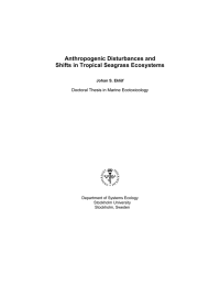 Anthropogenic Disturbances and Shifts in Tropical Seagrass Ecosystems