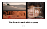 The Dow Chemical Company