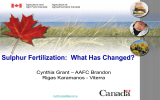 Sulphur Fertilization:  What Has Changed? – AAFC Brandon Cynthia Grant