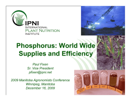 Phosphorus: World Wide Supplies and Efficiency