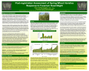 Post-registration Assessment of Spring Wheat Varieties Response to Fusarium Head Blight