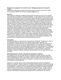 Phosphorus management for sensitive crops:  Managing phosphorus through the rotation