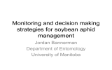 Monitoring and decision making strategies for soybean aphid management Jordan Bannerman