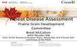 Wheat Disease Assessment Prairie Grain Development Committee Brent McCallum