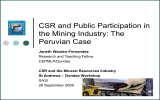CSR and Public Participation in the Mining Industry: The Peruvian Case Janeth Warden-Fernandez