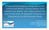 Daniel Schultz Public Trust Unit Chief Division of Water Rights June 17, 2015