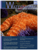 ATERMARKS The California Newsletter for Citizen Water Quality Monitoring