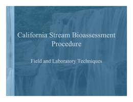 California Stream Bioassessment Procedure Field and Laboratory Techniques