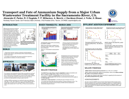 Transport and Fate of Ammonium Supply from a Major Urban