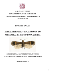 Α.Τ .Ε.Ι .  Κ Ρ Η Τ Η Σ ΑΝΘΟΚΟΜΙΑΣ