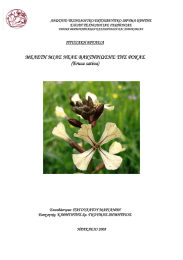 ΜΕΛΕΤΗ ΜΙΑΣ ΝΕΑΣ ΒΑΚΤΗΡΙΩΣΗΣ ΤΗΣ ΡΟΚΑΣ (Eruca sativa)