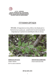 ΠΤΥΧΙΑΚΗ ΕΡΓΑΣΙΑ