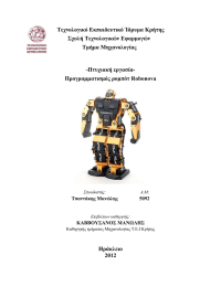 Ν ΝRobonova -