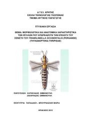 Α.Τ.Ε.Ι. ΚΡΗΤΗΣ ΣΧΟΛΗ ΤΕΧΝΟΛΟΓΙΑΣ ΓΕΩΠΟΝΙΑΣ ΤΜΗΜΑ ΦΥΤΙΚΗΣ ΠΑΡΑΓΩΓΗΣ