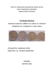 ΠΤΥΧΙΑΚΗ ΕΡΓΑΣΙΑ Clavibacter michiganensis . michiganensis