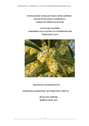 ΤΕΧΝΟΛΟΓΙΚΟ  ΕΚΠΑΙΔΕΥΤΙΚΟ ΥΔΡΙΜΑ ΚΡΗΤΗΣ ΣΧΟΛΗ ΤΕΧΝΟΛΟΓΙΑΣ ΓΕΩΠΟΝΙΑΣ ΤΜΗΜΑ ΦΥΤΙΚΗΣ ΠΑΡΑΓΩΓΗΣ