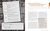 Survey and Clearance of Unexploded Submunitions Versus Landmines and Other ERW F