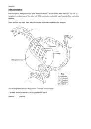 DNA transcription