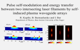 Pulse self-modulation and energy transfer induced plasma waveguide arrays