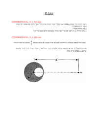 לוגרת 31