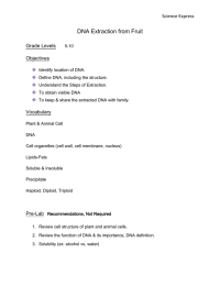 DNA Extraction from Fruit Science Express Grade Levels Objectives