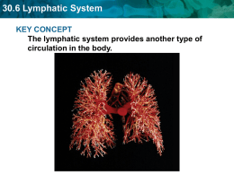 30.6 Lymphatic System KEY CONCEPT The lymphatic system provides another type of