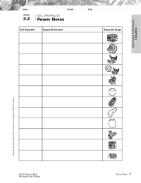 3.2 Power Notes 7 Cell Organelle