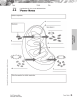 4.4 Power Notes 45 Cellular respiration: