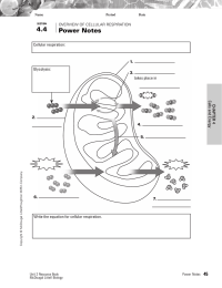 4.4 Power Notes 45 Cellular respiration: