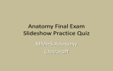 Anatomy Final Exam Slideshow Practice Quiz MMHS Anatomy Chitraroff