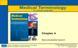 Medical Terminology Chapter 4 A Living Language Musculoskeletal System