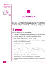 7 SHOOT SYSTEM MODULE - 2