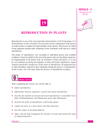 19 REPRODUCTION IN PLANTS MODULE - 3