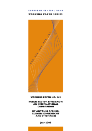 WORKING PAPER SERIES WORKING PAPER NO. 242 PUBLIC SECTOR EFFICIENCY: AN INTERNATIONAL