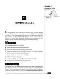 31 BIOMOLECULES Y MODULE - 7