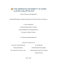 School of Sciences and Engineering PHAEOCYSTIS ANTARCTICA A Thesis Submitted to