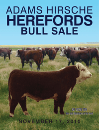 HEREFORDS ADAMS HIRSCHE BULL SALE