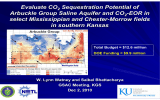 Evaluate CO Sequestration Potential of Arbuckle Group Saline Aquifer and CO -