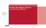 Seeing the bigger picture Fund Domicile Matrix