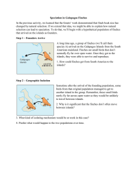 Speciation in Galapagos Finches