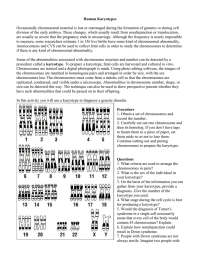 Human Karyotypes