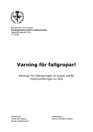 Varning för fallgropar!  Riktlinjer för tillämpningen av Koden utifrån implementeringen av SOX