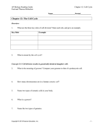 Chapter 12: The Cell Cycle